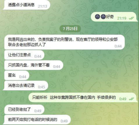 ：国内最近有公安部去老挝那边抓人了。如果不出问题可能最近会上央视新闻了