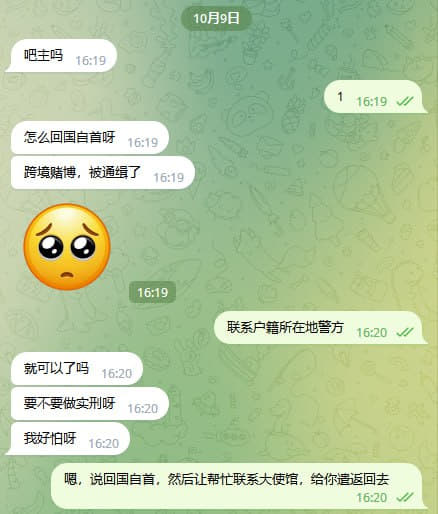 网友提问：综合盘小客服一枚，被通缉了，怎么回国自首？